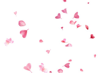 PNG Falling flower pink petals, transparent background