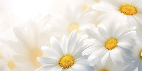 a close up of a white and yellow flowers nuclear art on a blurred background