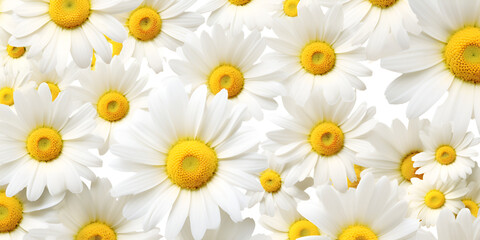 a close image of white and yellow flowers modern concept on a flowerful background - obrazy, fototapety, plakaty