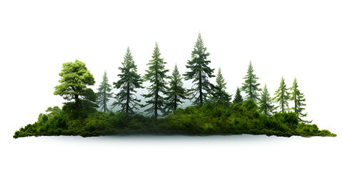 A watercolor of pine trees with lush greenery natural exploration on a white background
 - obrazy, fototapety, plakaty