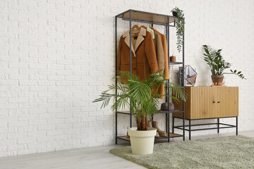 Stylish interior of light room with warm female clothes and houseplants