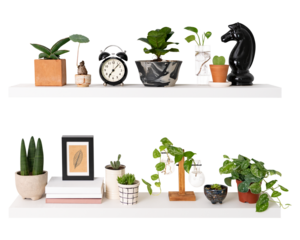 Png plant pots mockup on white shelf home decor