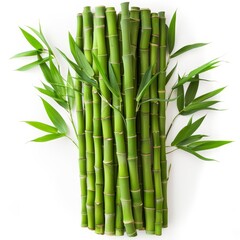Fototapeta na wymiar A row of green bamboo sticks with accompanying leaves on a white background