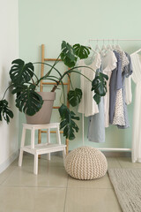 Rack of trendy clothes and houseplant near white wall