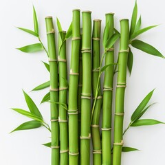   A tight shot of green bamboo bundled with leaves against a clean white backdrop Background includes a pristine white wall