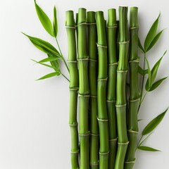  A tight shot of green bamboo bundled with leaves against a pristine white backdrop, accompanied by shadows beneath the stem bases