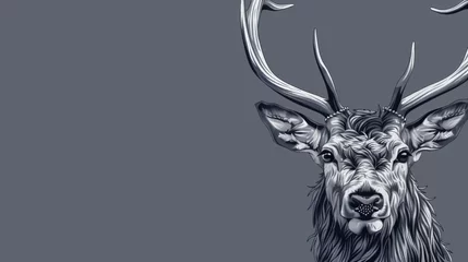 Foto op Plexiglas   Close-up of a deer's head with antlers against a gray backdrop © Jevjenijs