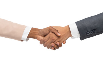 Png Business agreement handshake mockup hand gesture