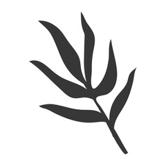 Leaf png sticker on transparent background