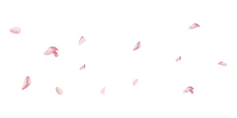 Png falling petals sticker, transparent background © Rawpixel.com
