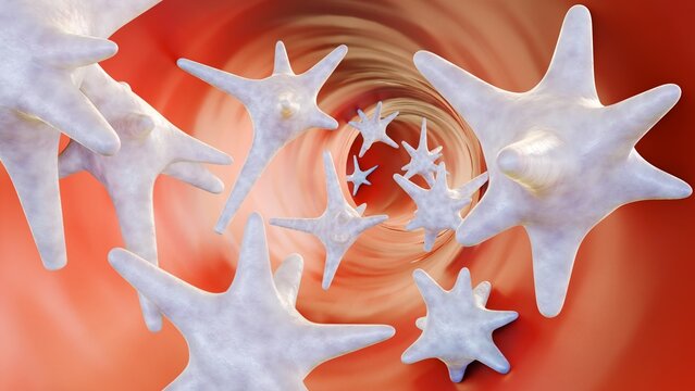 3d rendering of Thrombocytes, are pieces of very large cells in the bone marrow called megakaryocytes