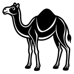 silhouette camel -vector illustration