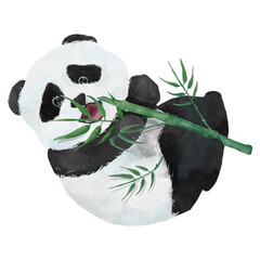 Baby panda png, watercolor animal sticker © Rawpixel.com