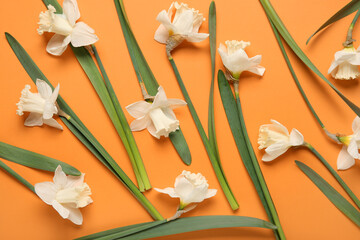 Composition with daffodil flowers on orange background. Top view - obrazy, fototapety, plakaty