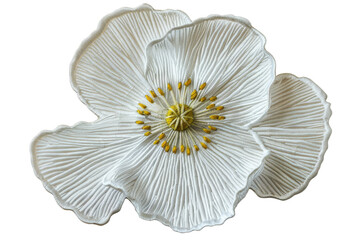 White flower embroidered patch with yellow center details. Embroidered floral motif isolated on transparent background. Nature and botany theme for design and textile