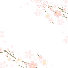 Obraz na płótnie Canvas Sakura png transparent background Hanami festival