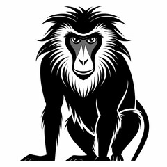 illustration of a lion vector 