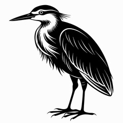 heron on a white background   Vector Illustration 