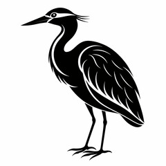 night heron heron on a white background   Vector Illustration 