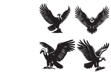 vector Flying bird  silhouette illustration