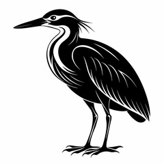 heron on a white background   Vector Illustration 