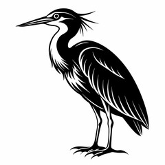 heron on a white background   Vector Illustration 