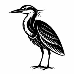 Heron Vector Illustration 