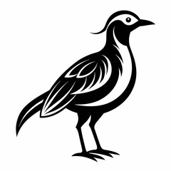 black and white bird   Vector Illustration