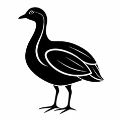 duck isolated on white May day's Vector Illustration