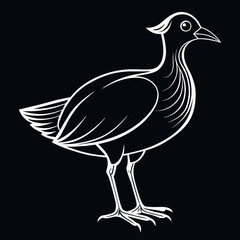 hand drawn vector illustration of a bird May day's Vector Illustration