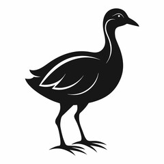 goose isolated on white background May day's Vector Illustration
