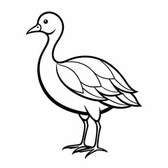 duck isolated May day's Vector Illustration