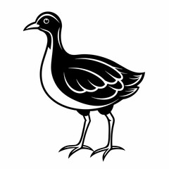 hen isolated on white May day's Vector Illustration