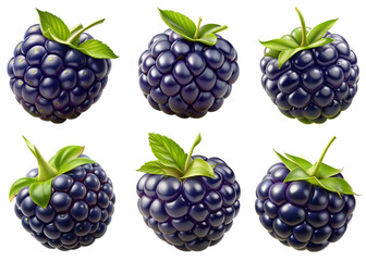Realistic fruit, blackberry, PNG transparent image, AI generative