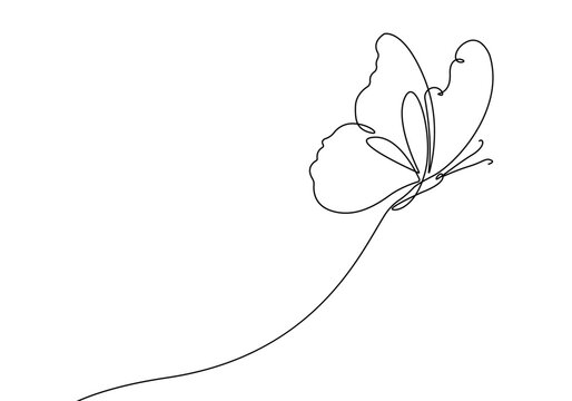 recommend clip art: Butterfly Flying Line Art Drawing. Butterfly Line Art Illustration for Minimal Trendy Contemporary Design. Perfect for Wall Art, Prints, Social Media, Posters, Invitations, Branding Design. Vector