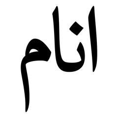 Anam Muslim Girls Name Naskh Font Arabic Calligraphy