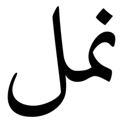 Anmol Muslim Girls Name Naskh Font Arabic Calligraphy