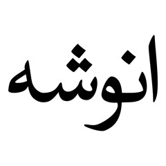 Anooshah Muslim Girls Name Naskh Font Arabic Calligraphy