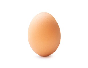 Front view of single fresh brown chicken egg standing isolated with clipping path and shadow in png file format