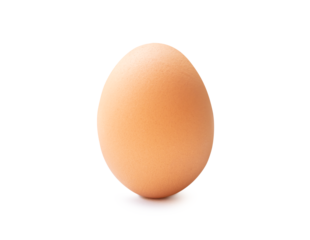 Front view of single fresh brown chicken egg standing isolated with clipping path and shadow in png file format