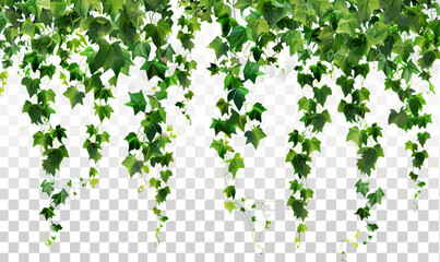 a bunch of green leaves hanging from the ceiling - obrazy, fototapety, plakaty