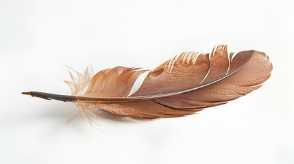 YesNo
Feather isolated on the white background,Beautiful feather bird on white background,Feather isolated on the white background



