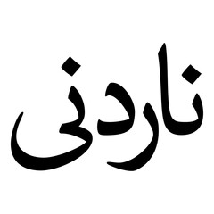 Nardana Muslim Girls Name Naskh Font Arabic Calligraphy
