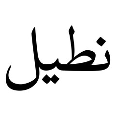 Natila Muslim Girls Name Naskh Font Arabic Calligraphy