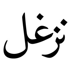 Nazgul Muslim Girls Name Naskh Font Arabic Calligraphy