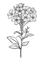 Botanical line art design png, hand drawn clip art, transparent background