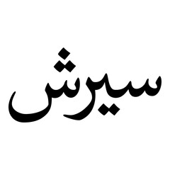 Sairish Muslim Girls Name Naskh Font Arabic Calligraphy
