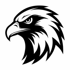 Fototapeta premium Head of eagle Vector Illustration 