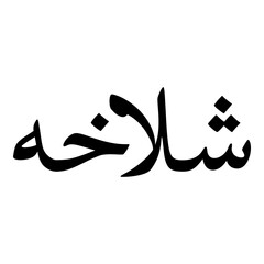 Shulaikhah Muslim Girls Name Naskh Font Arabic Calligraphy