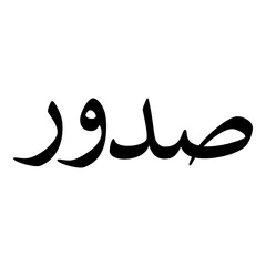Sudur Muslim Girls Name Naskh Font Arabic Calligraphy